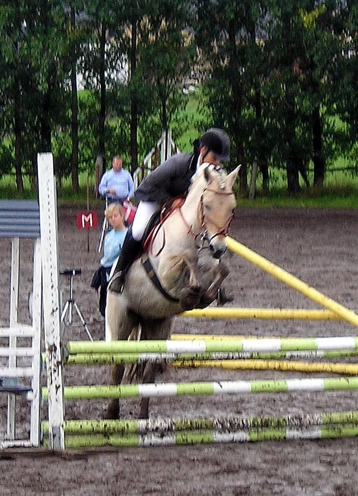 Fjordhest *Samson af Engholm* <3 <3 **SOLGT** - Fuld gang i finalen I Nibe CUP LD for Hest... billede 4