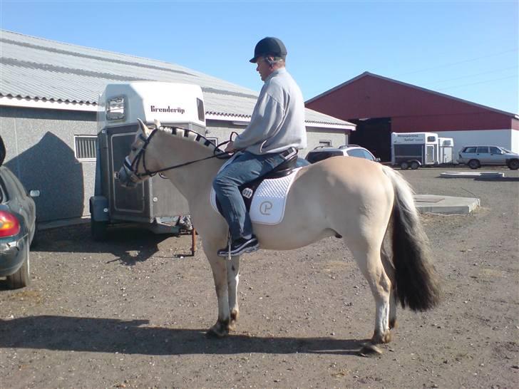 Fjordhest *Samson af Engholm* <3 <3 **SOLGT** - Min far og Samson i Hjallerup <3 billede 9