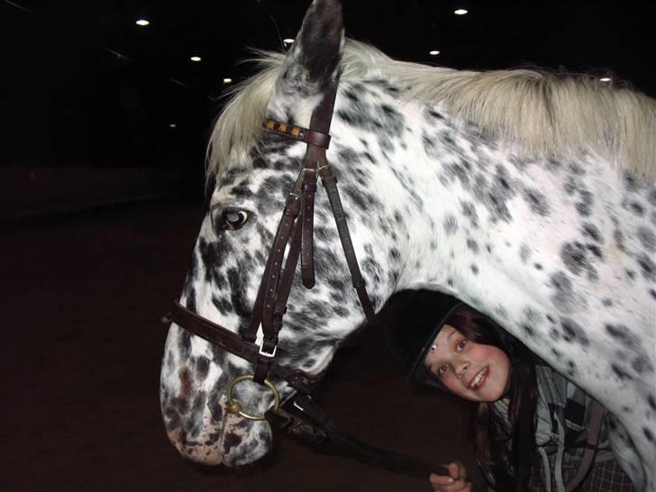 Appaloosa Ilja - R.I.P - #7. Fandt lige ud af at Mathilde tog et billede :b billede 5