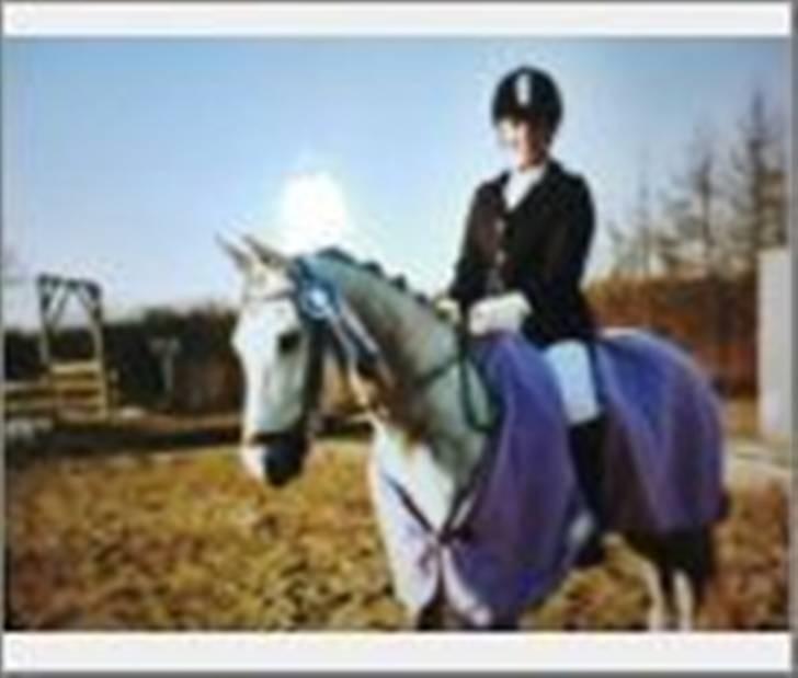 Anden særlig race Je t'aime *Solgt* - Her havde jeg lige vundet en 3. plads i LC3 billede 10