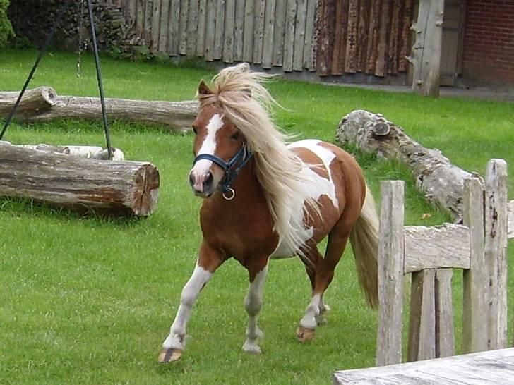 Miniature Superman Fra Supersesse - hej, og velkommen til min side <3 billede 1