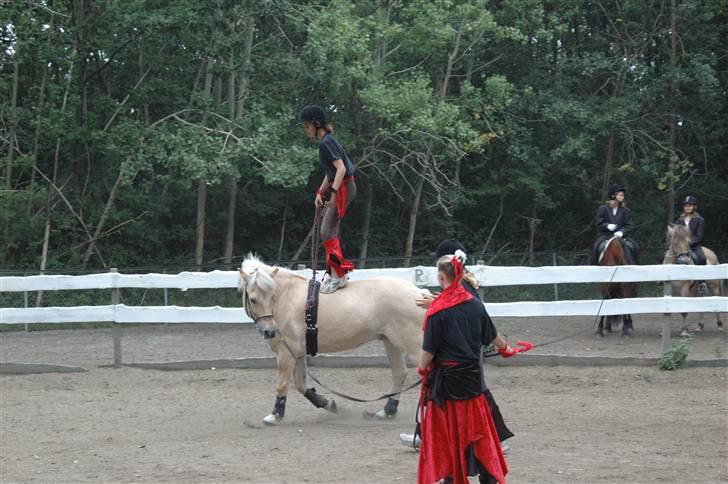 Fjordhest Gucci  † R.I.P † 16/10 08 - Mig og en der hedder Mette laver et show til noget høstfest i min klub billede 4