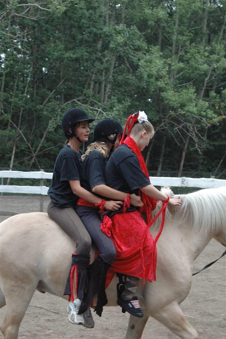 Fjordhest Gucci  † R.I.P † 16/10 08 - Slutningen på vores show. hvor vicki som longeret os kom med op.  vicki førest , mette i midten , og mig til sidst . kom af af numsen på han .:D billede 6