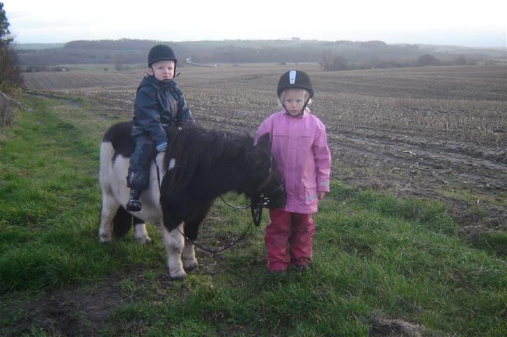 Anden særlig race Pinnochio   (Solgt) - Johanne og Søren med Pinochio billede 6