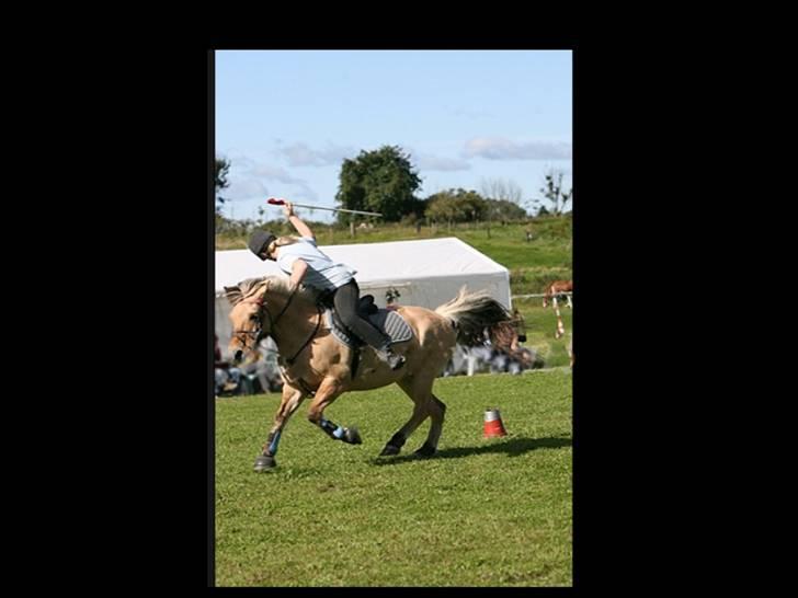 Fjordhest Klokkeblomst   * Solgt* - Flag, :P billede 6