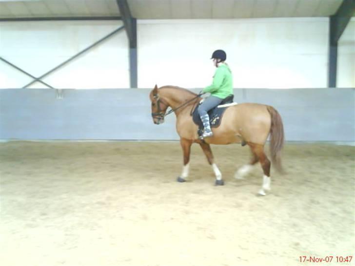 Frederiksborg Poseidon SOLGT - de er taget fra mobilen derfor så dårlig kvalitet sorry billede 8