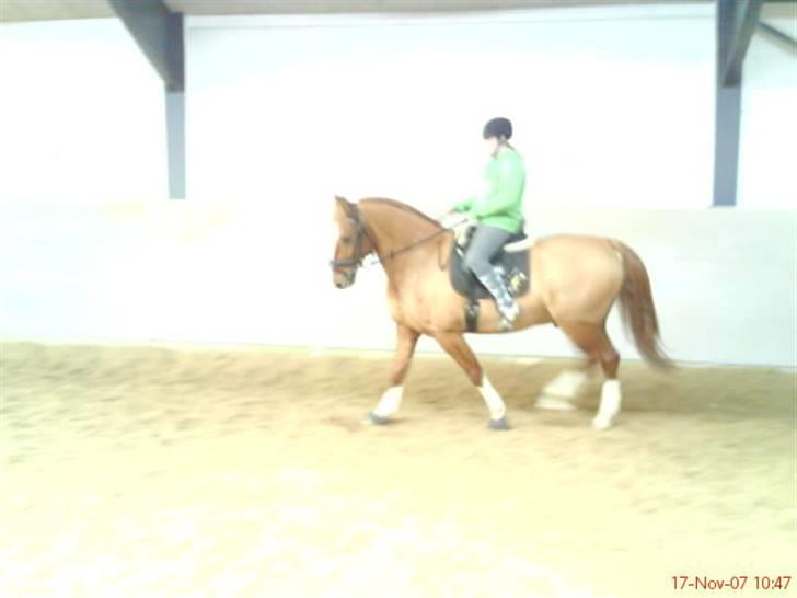 Frederiksborg Poseidon SOLGT - de er taget fra mobilen derfor så dårlig kvalitet sorry  billede 9