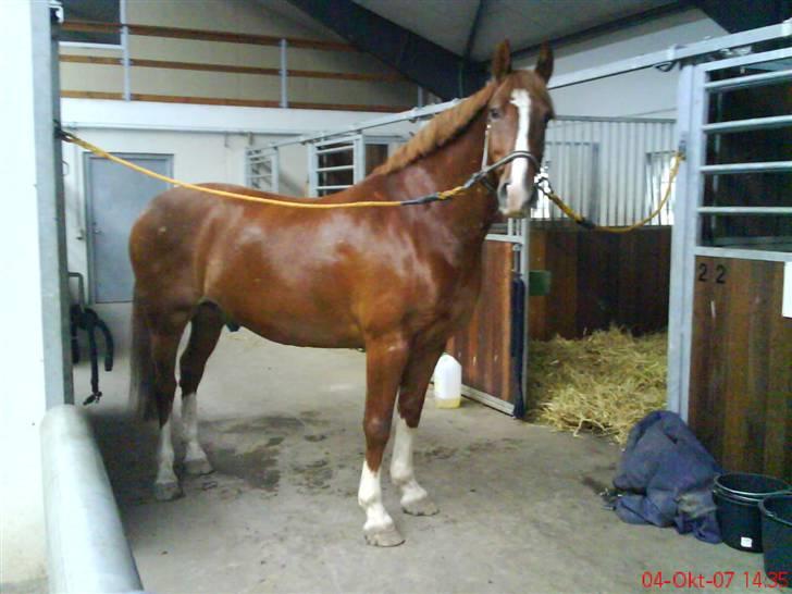 Frederiksborg Poseidon SOLGT - se miig lige :P billede 10