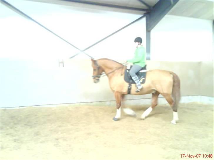 Frederiksborg Poseidon SOLGT - taget med mobil derfor så dårlig kvalitit  billede 13