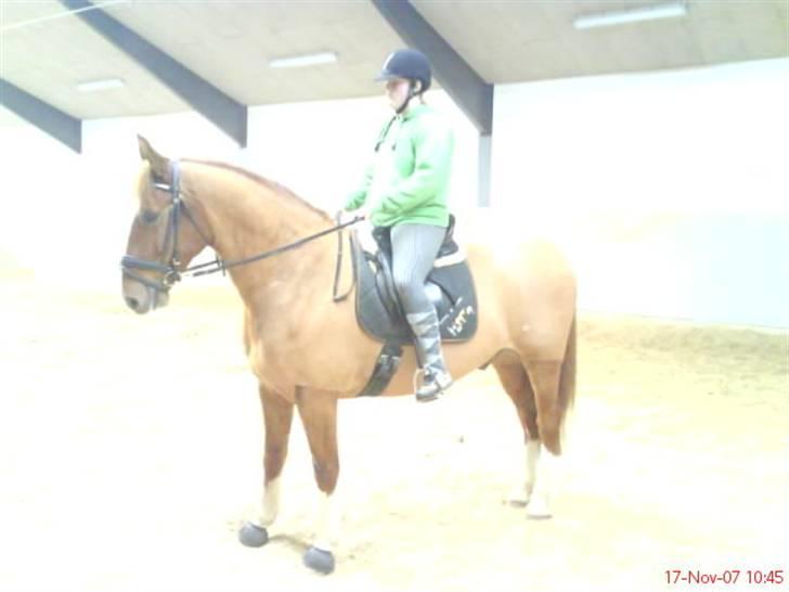 Frederiksborg Poseidon SOLGT - taget med mobil derfor så dårlig kvalitet billede 14