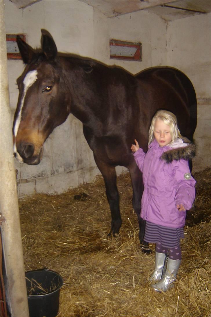 Anden særlig race unik billede 16