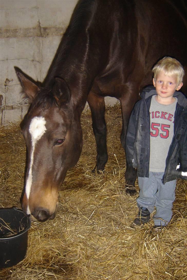 Anden særlig race unik billede 17