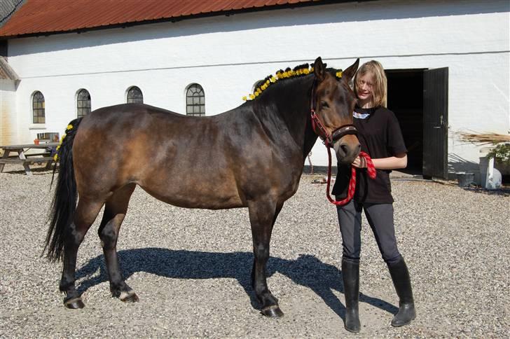 Anden særlig race pyxis - Sommer 2008 billede 2
