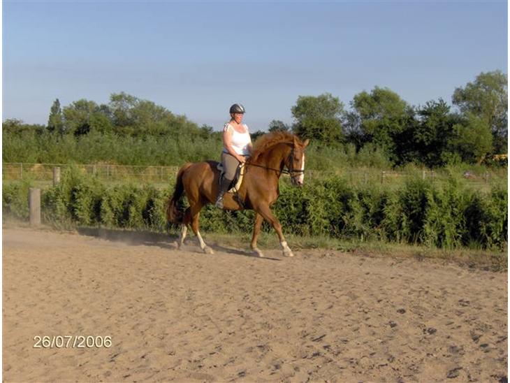 {{currentPhoto.altText}} billede {{currentPhoto.number}}