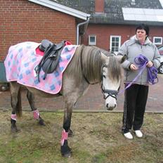 Anden særlig race venus  solgt