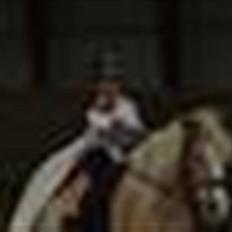 Tyroler Haflinger Lizette (RIP)