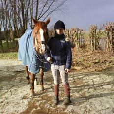 Anden særlig race Lotus Z