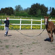 Anden særlig race Lotus Z
