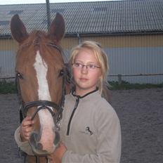 Anden særlig race Lotus Z