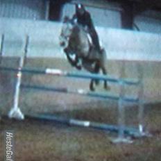 New Forest Orchid's Thymo  - Aflivet