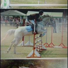 Connemara StaldTOR's Isabella