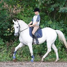 Connemara StaldTOR's Isabella