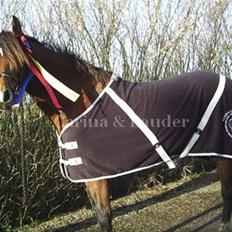 Sportsaraber (A) LAUDER