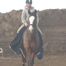 Westfaler Lilliefee R.I.P