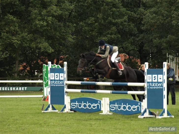 Anden særlig race Shakira (Solgt) - MB distriksstævne Viborg billede 9