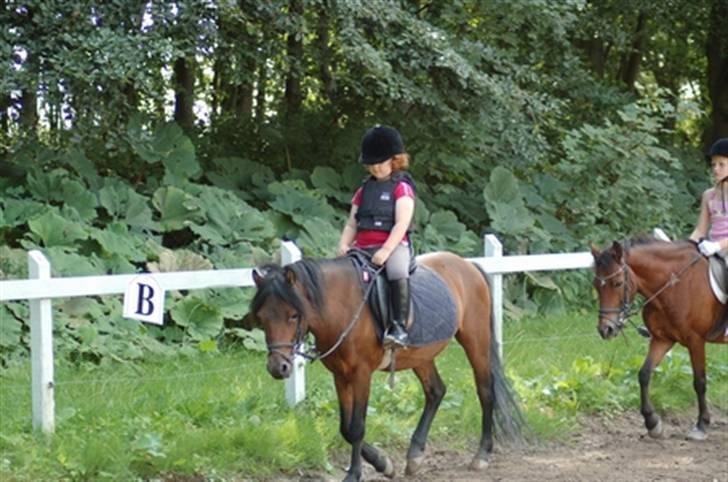 Dartmoor Luie - miiin lille kusine får en tur på luie og hendes ven bagi på en hest der hedder laban  billede 5