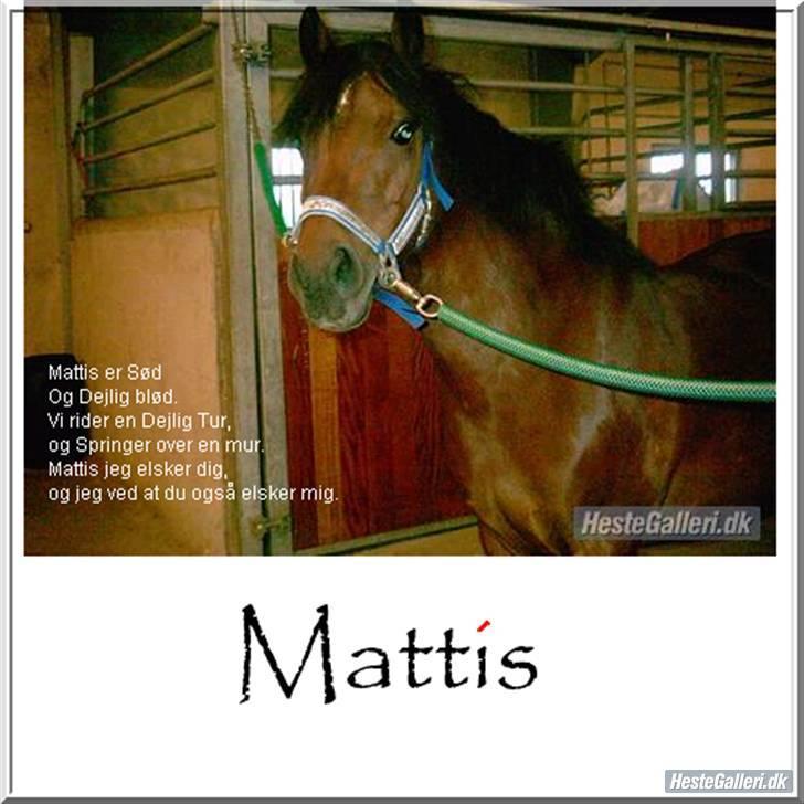 DSP Mattis - 12# Ihh Mattis min skat liqe meqet hvad rr du min sammen med Benn..<33 billede 12