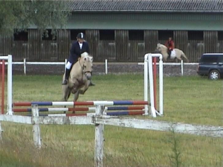 Fjordhest Dybdals Kasmir 8602488 - Englerup mølle stævne 2004 billede 4