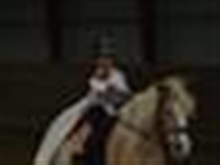 Tyroler Haflinger Lizette (RIP) - Malou og Lizette til Luciaoptog billede 3