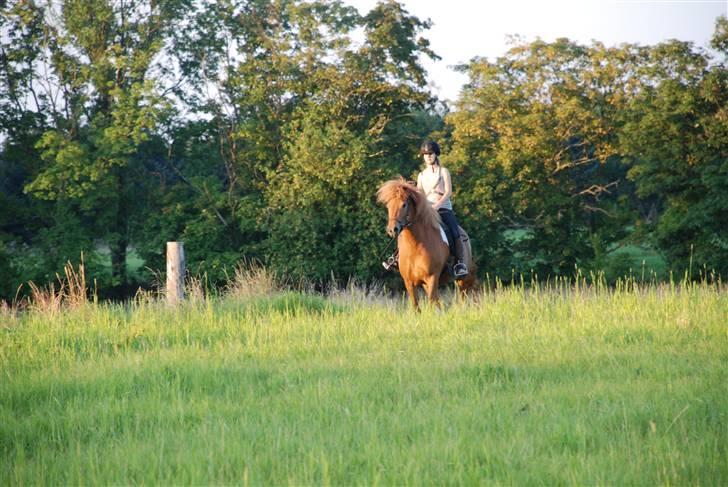 Islænder Saga fra Ankerly billede 11