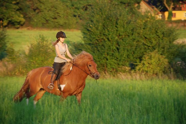 Islænder Saga fra Ankerly billede 14