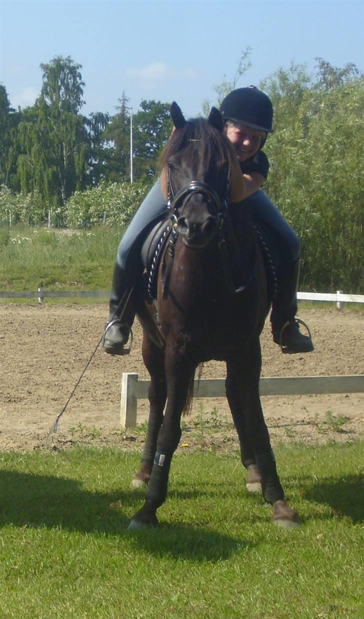 Anden særlig race Litus - tossede os NEEJ XD billede 12