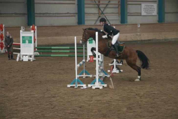 DSP Flicka -solgt- billede 12