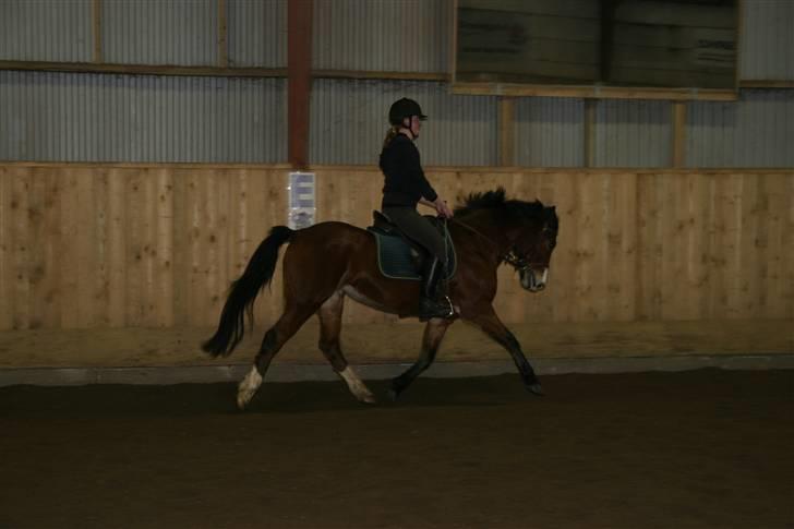 DSP Flicka -solgt- billede 13