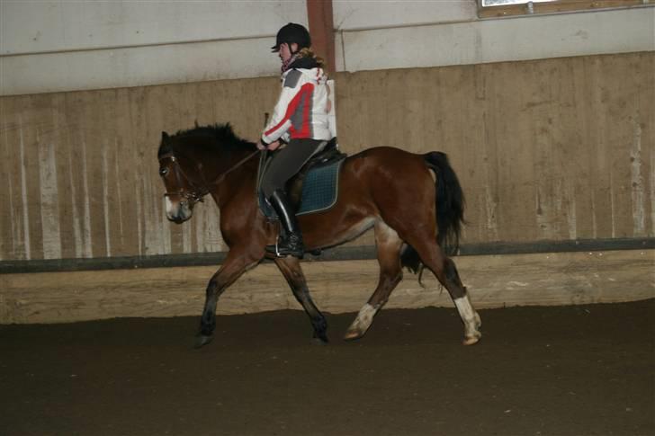 DSP Flicka -solgt- billede 14