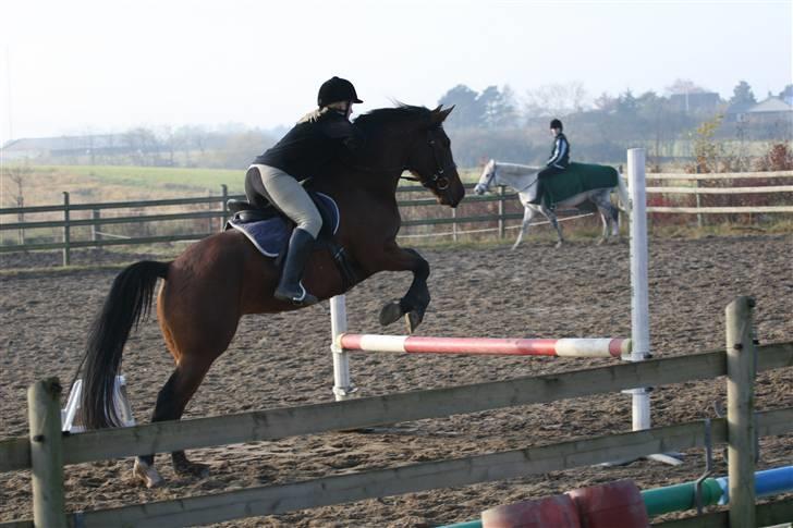 Anden særlig race Midnights Frida Kahlua  - Min lille springer:-) 17-11-07 billede 13