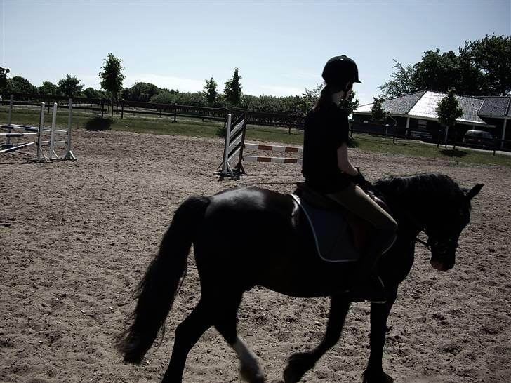 Anden særlig race » Spirit - Solgt. - Spirit og mig. billede 12