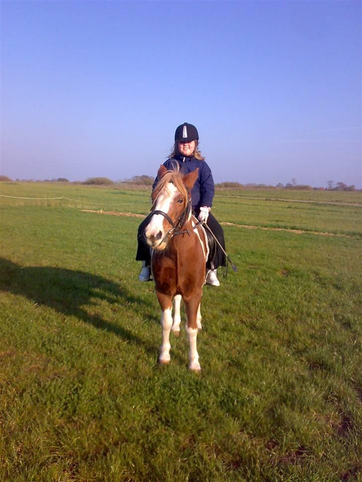 Pinto Felix - Den uimodstålige<3 - 2007!?
- I hvert fald længe siden - sødt dyr<3 billede 8