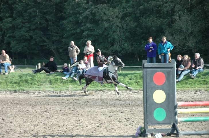 Anden særlig race (¯`v´¯)Shannon -solgt :'( - Her rider vi æresrunde, efter vi blev klubmestre... Han synes blomsterne var lidt farlige, så han løb en anelse hurtigt :-P  billede 15