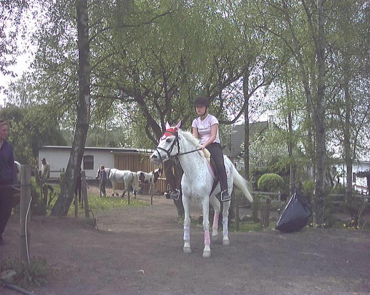 Anden særlig race chicken  R.I.P <3 billede 3