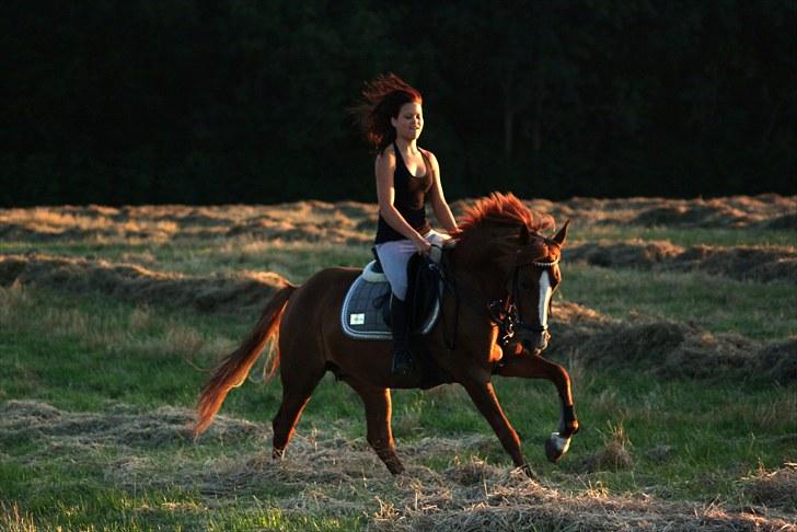 Anden særlig race Bibi  <3  - lækker galop, hen over marken.  billedet er taget af CSJ billede 7