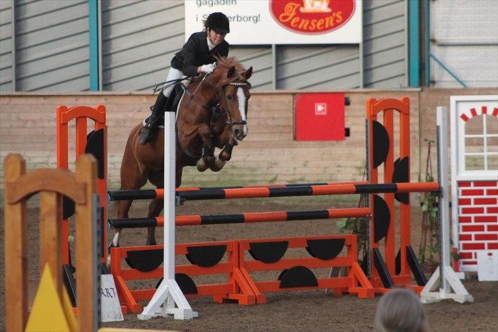 Anden særlig race Bibi  <3  - Sønderborg MB.  billede 8