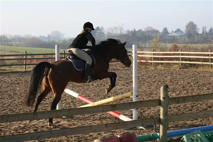 Anden særlig race Midnights Frida Kahlua  - Og et lille bitte hop:-) 17-11-07 billede 17