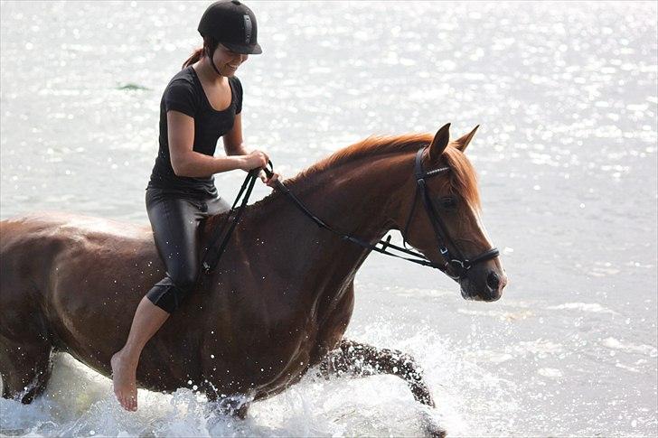 Anden særlig race Bibi  <3  - Bibi og jeg ved havet. billedet er taget af:  Celine  billede 12