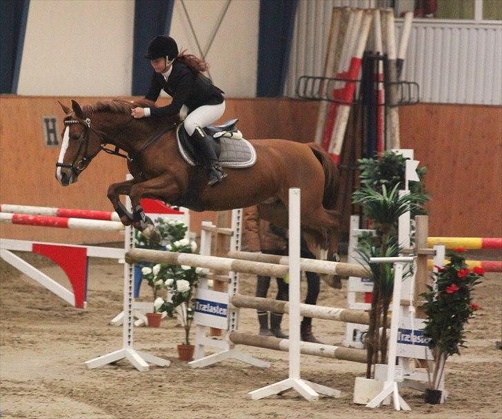 Anden særlig race Bibi  <3  - LA i middelfart. Billedet er taget af CSJ billede 13