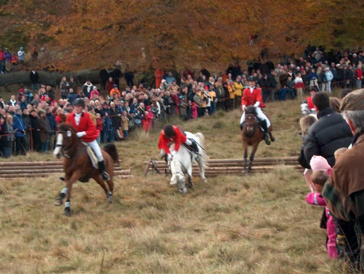 Connemara Earrach billede 3